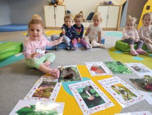 Zajęcia dydaktyczne Barwy jesieni