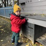 Zajęcia dydaktyczne na temat dyni.