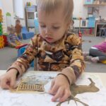 Zajęcia dydaktyczne pt. Las zimową porą