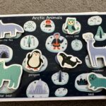 Zajęcia dydaktyczne na temat Arktyki