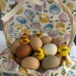 Zajęcia dydaktyczne na temat Wielkanocy.