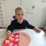 Zaj臋cia dydaktyczne pt Nadesz艂a jesie艅
