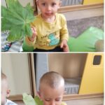Zajęcia dydaktyczne pt Jesienna pogoda