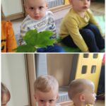Zajęcia dydaktyczne pt Jesienna pogoda