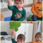 Zajęcia dydaktyczne pt Jesienna pogoda