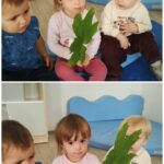 Zajęcia dydaktyczne pt Jesienna pogoda