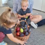 ZAJECIA EDUKACYJNE PRZETWORY