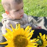 Zajęcia dydaktyczne pt W krainie czyścioszków